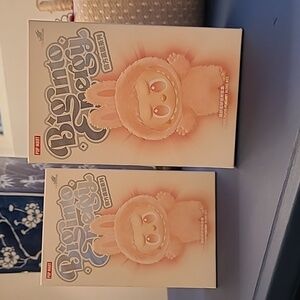 Big Into Energy Labubu China Purchase Set